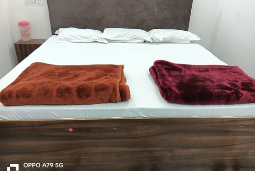 Hotel shree ji palece