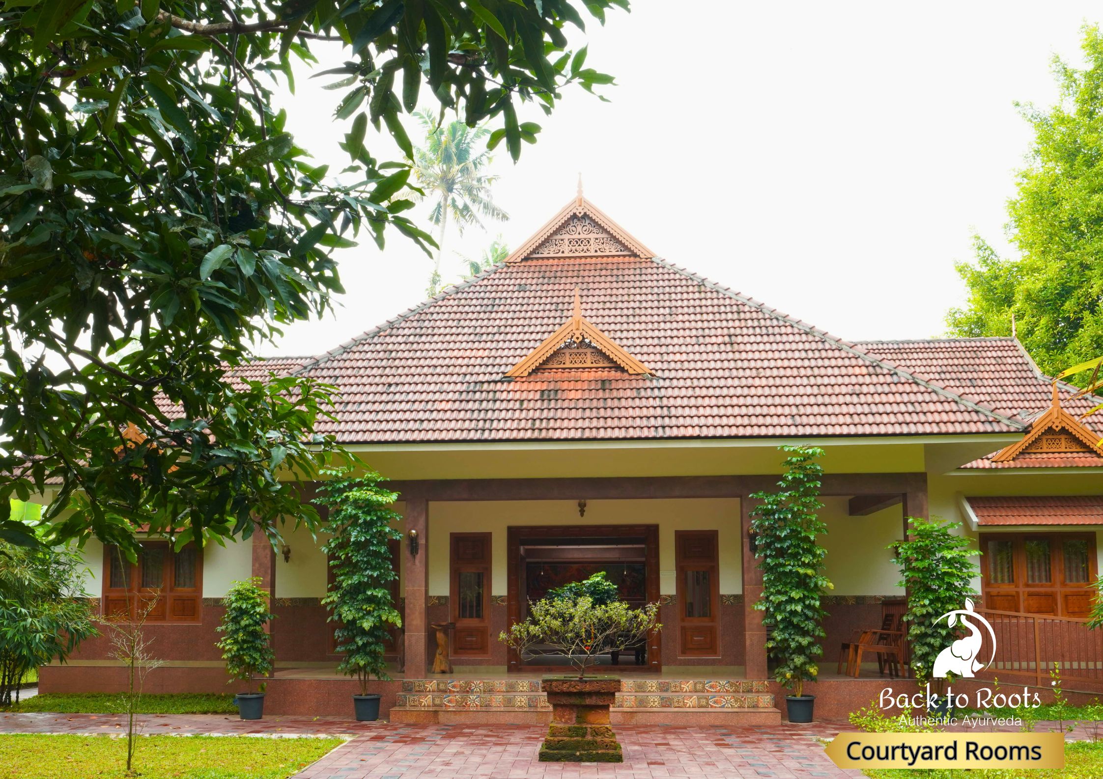Back to Roots Ayurveda