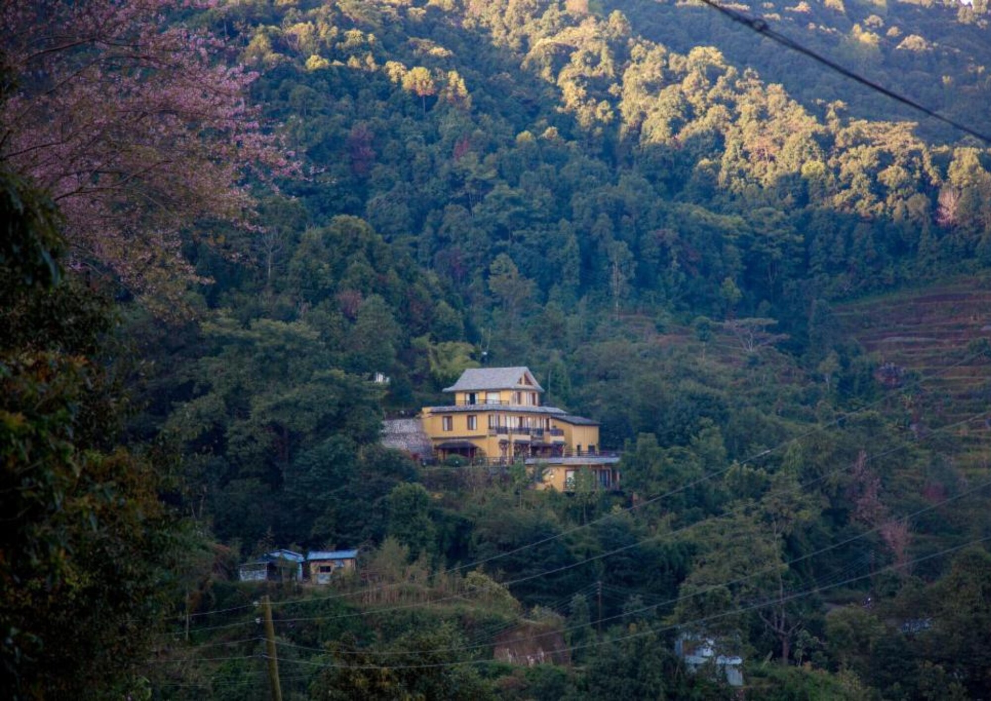 The Lapsi Tree resort