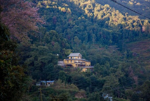 The Lapsi Tree resort