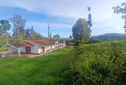 Pine Hood Heritage