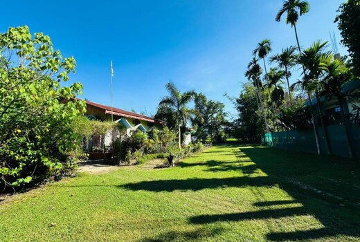 Grass Yellow Homestay | Kaziranga
