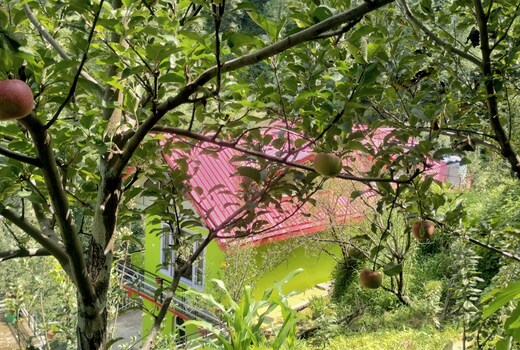 Apple Blossom Hideaway