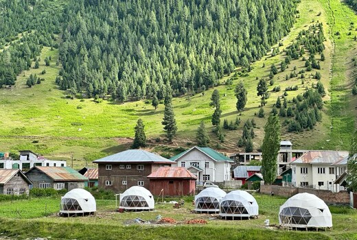 The Cocoon