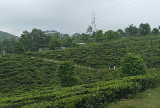 AAYUSHMAN HOMESTAY