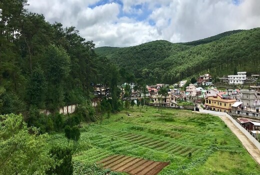 Spring Home Stay