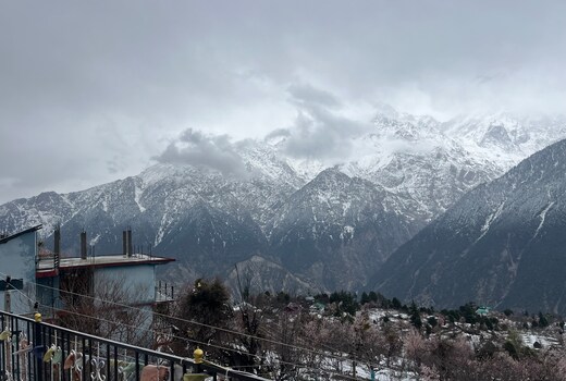 Divine Kalpa homestay