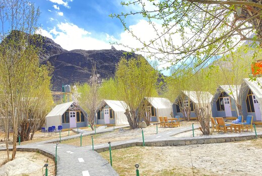 Dreamville Glamping