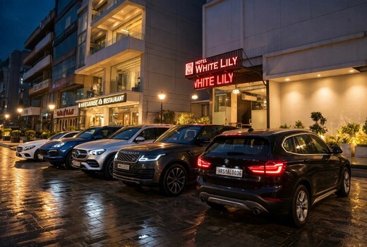 HOTEL WHITE LILY (Unit of Amrit Hotel)