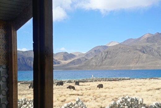 Peace Cottages Pangong