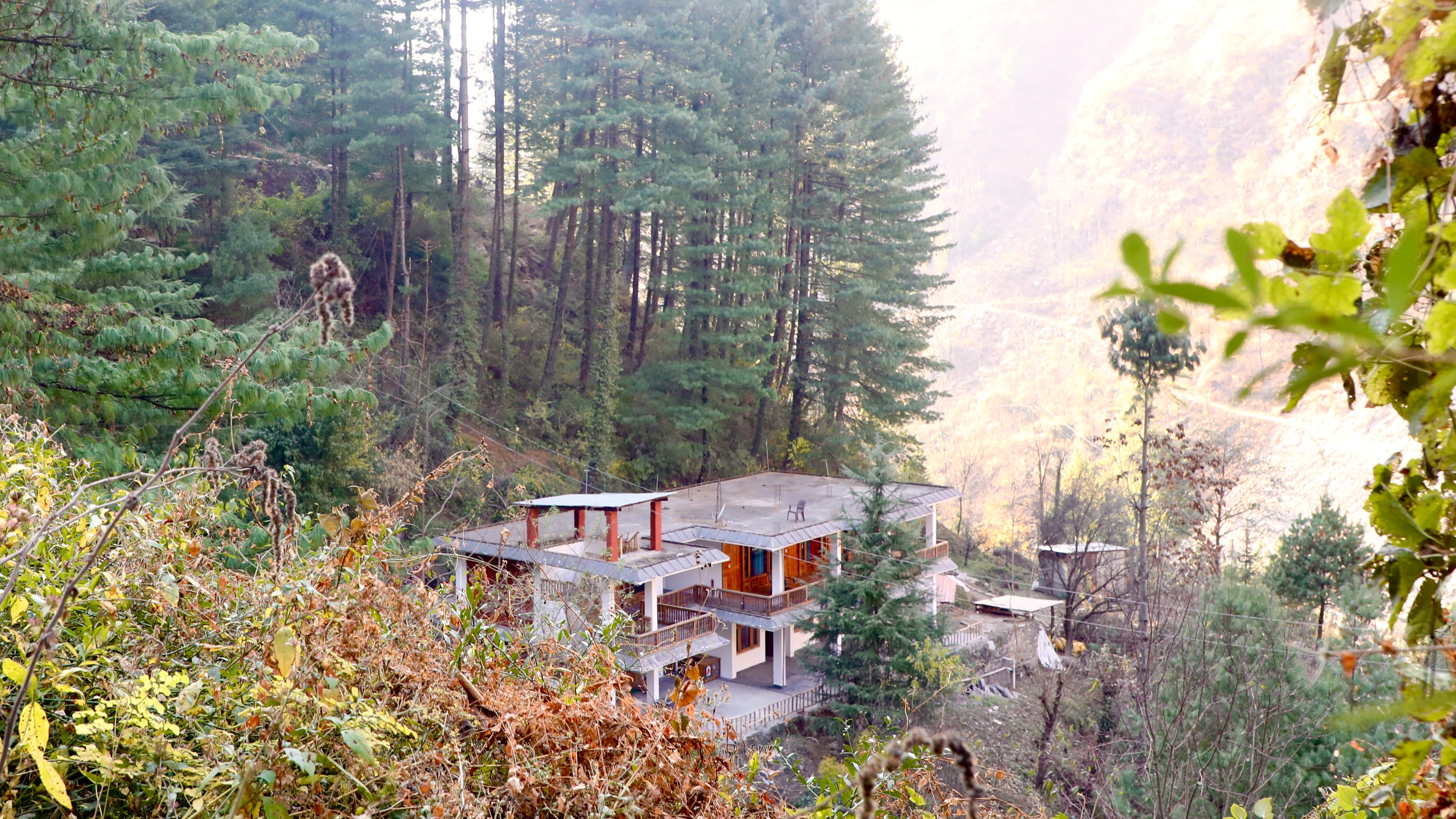 The Woods - Tirthan Valley