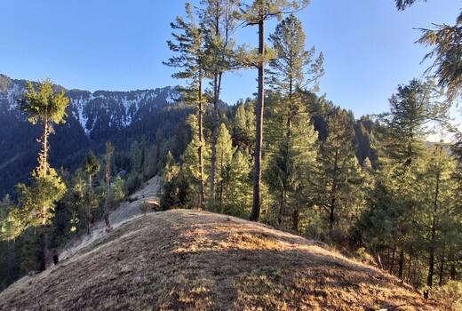 DHAR VALLEY HOMESTAY