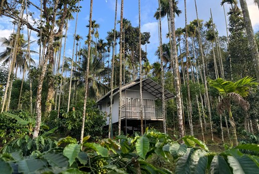 Himadri Retreat | Rooms in a Cottage