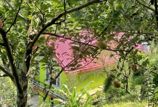 Apple Blossom Hideaway Narkanda