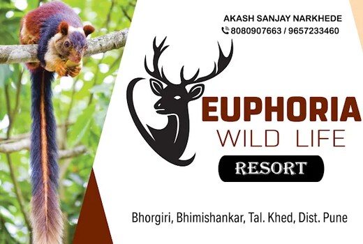 Euphoria Wild Life Resort & Camping by Prospera Hospitality Pvt. Ltd.
