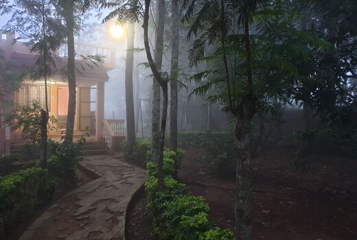 The Cabin in the Woods