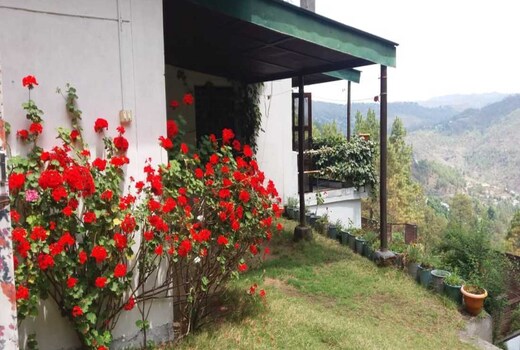The Green Garden Homestay