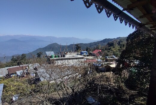 Blue Pancy Homestay