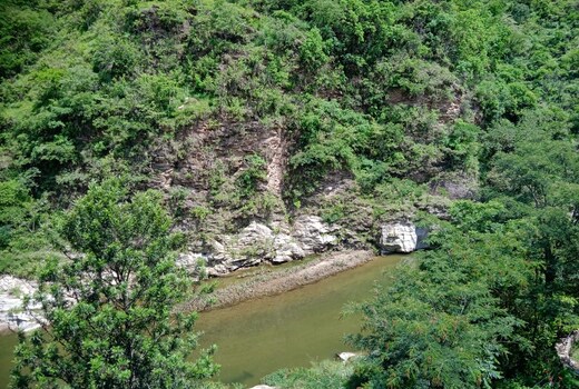 River View Dale