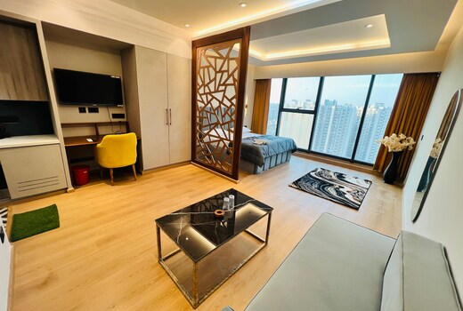 Luxurious suite with city view