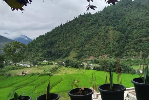 ETON HOMESTAY