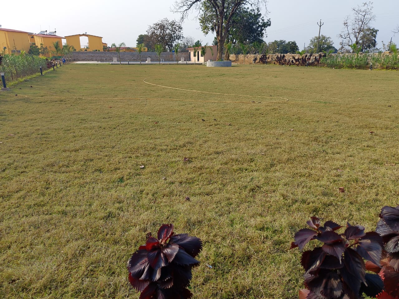 Tarakshu The Jungle Resort