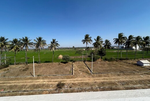 Nisar Homestay