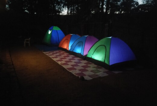 Whispering Woods Amba