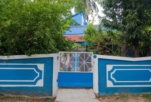 The blue house