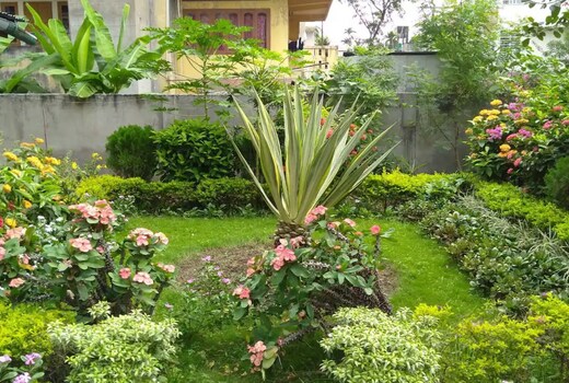 KALITAS BED AND BREAKFAST