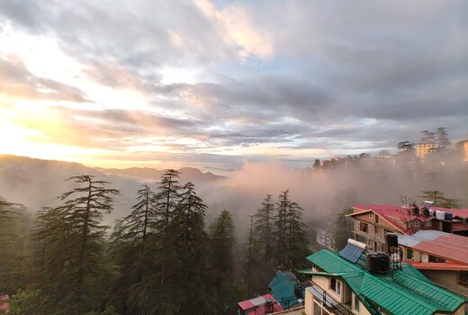 Cozy Inn Apartment 3bhk