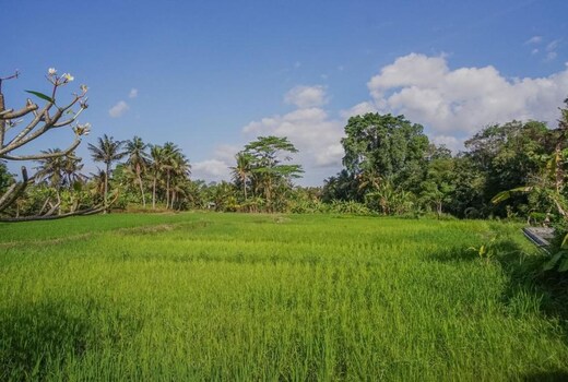 Nayaka Living Ubud