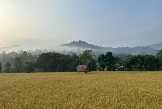 Rustic Wild Wayanad