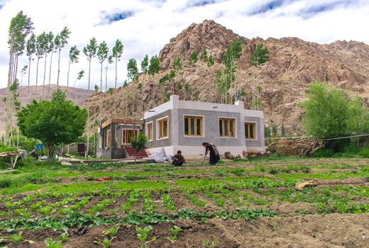 Chungtse-tsering-2 (Himalayan Farmstays)