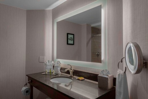 DoubleTree by Hilton Burlington Vermont