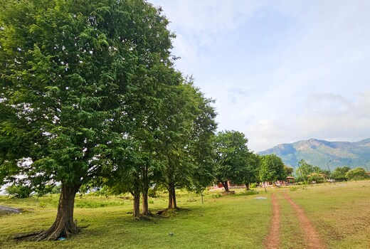 Nature Full Masanagudi