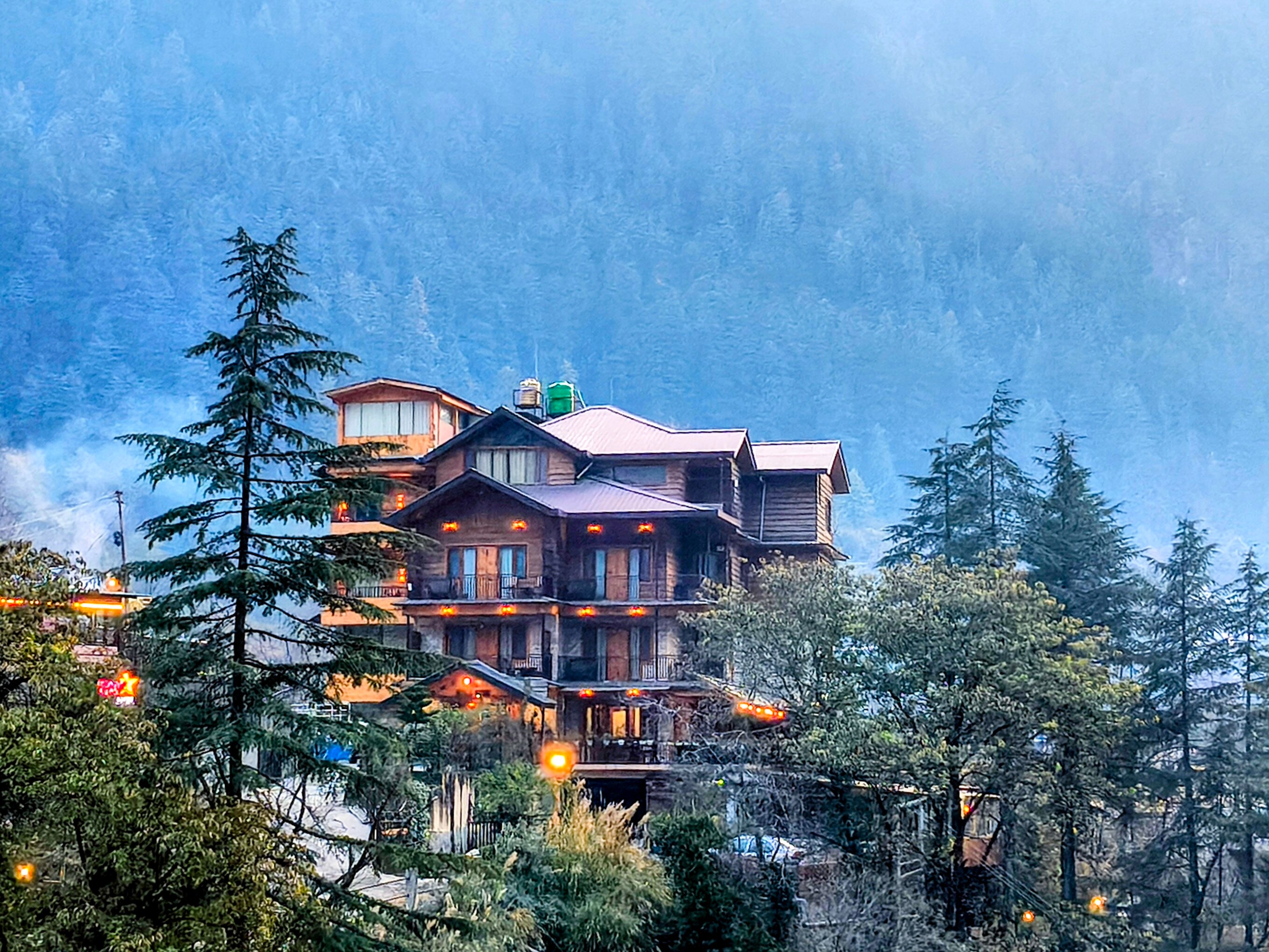 The Hillside