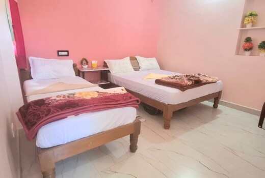 Prithvi Homestay Hampi