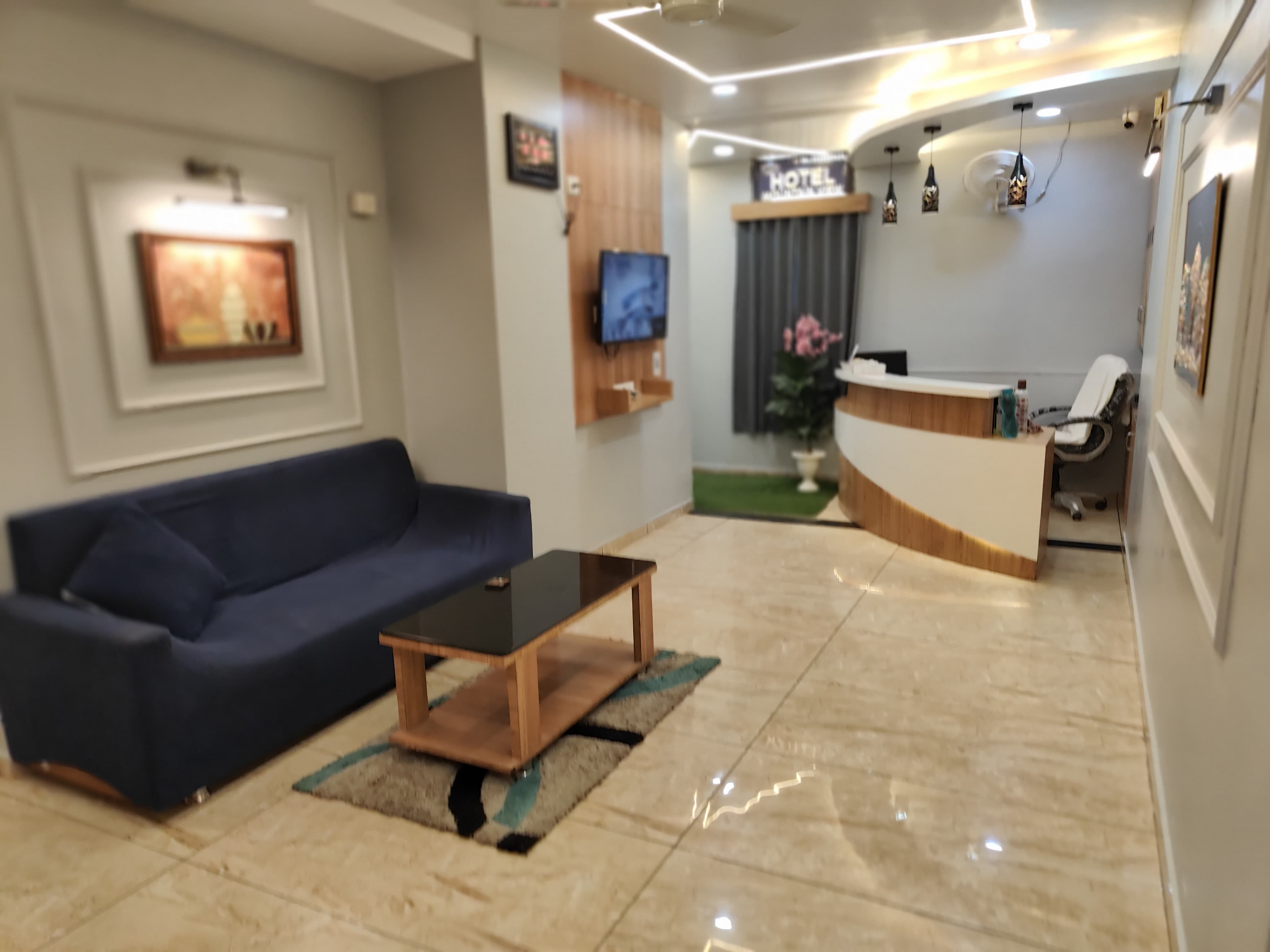 Hotel Mountain View, Anand