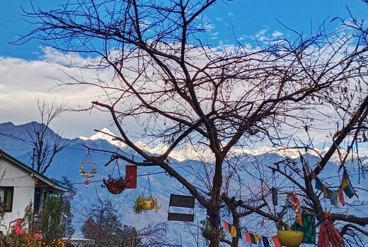 Himalayan nest Homestay