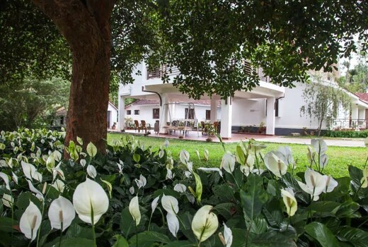 Pepper Vines Homestay | Rooms & Caretaker