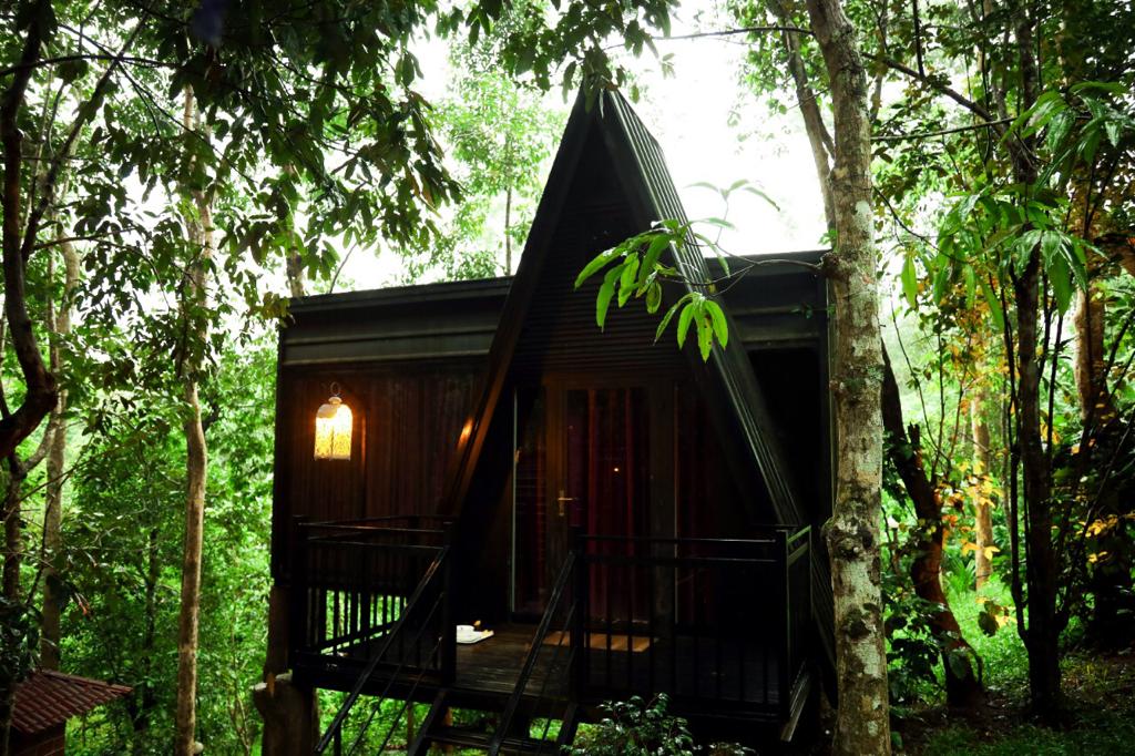 Ranches Jungle Beats Resorts