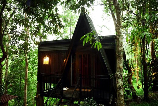 Ranches Jungle Beats Resorts