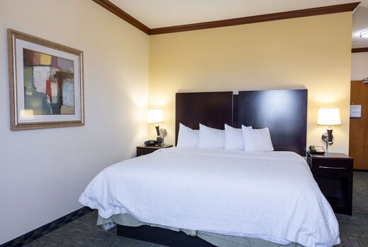 Hampton Inn by Hilton Alice
