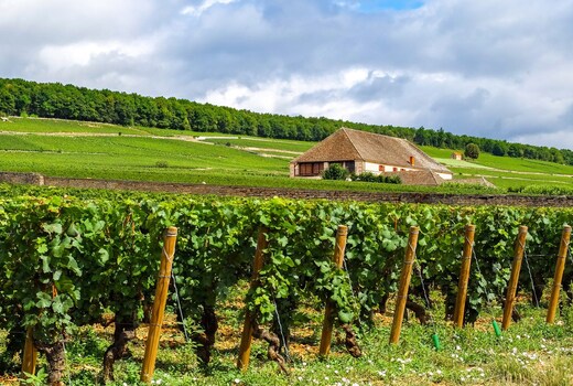 voco BEAUNE, an IHG hotel