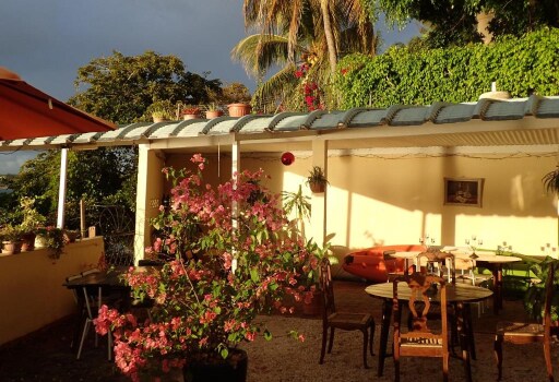 Le Cactus Guesthouse