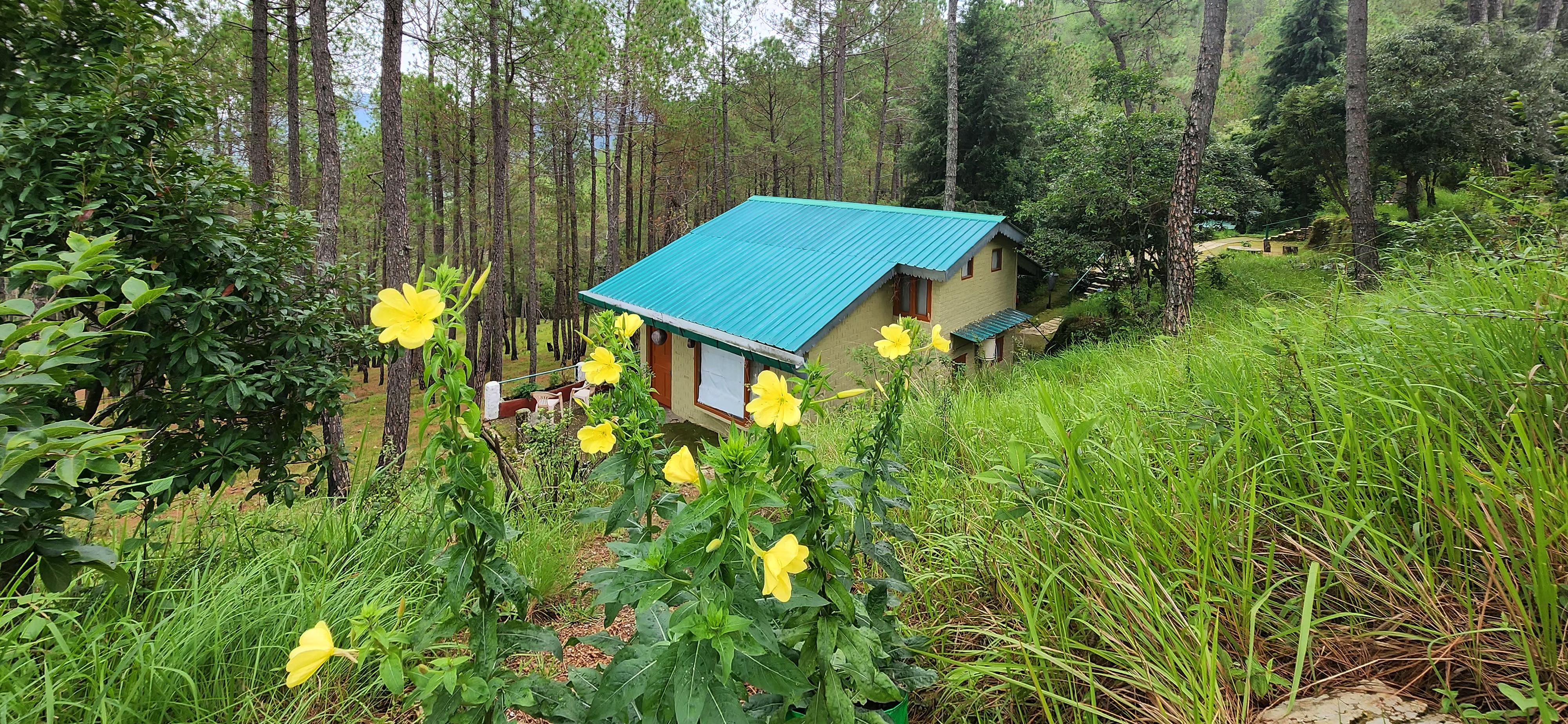Chestnut Grove Himalayan Lodge