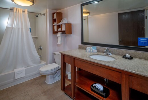 Hampton Inn by Hilton Charleston-Downtown