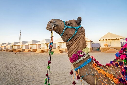 Qatar luxury camp Jaisalmer
