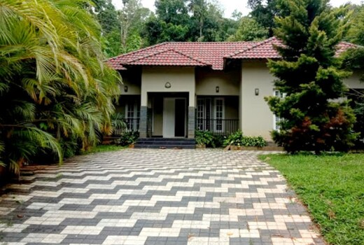 Forest View Homestay